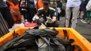 full_1776556104514718_4227606239_berita_jakarta