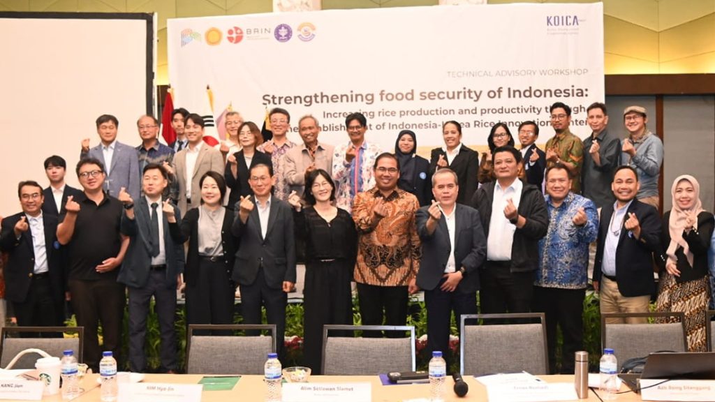 tuan rumah rice project